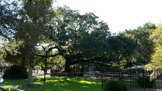 Oaks by the Bay Park